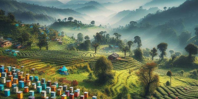 Beekeeping attracts many in Ilam