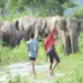 Gulmi farmers suffering wildlife menace crying for compensation