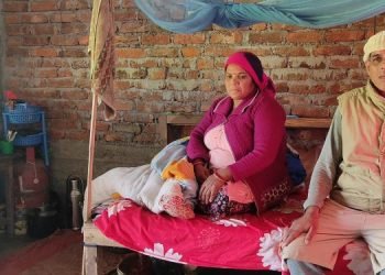 Jhapa wild elephant victims crying for treatment, compensation