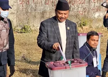 National Assembly member election today