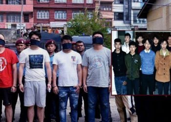 Chinese nationals lead list of foreign offenders: Police data