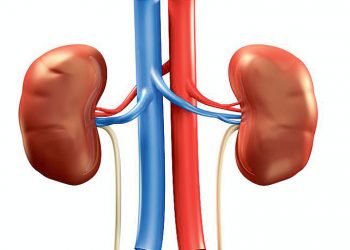 Human Organ Transplant Centre conducts 1,200 kidney transplants in 11 years