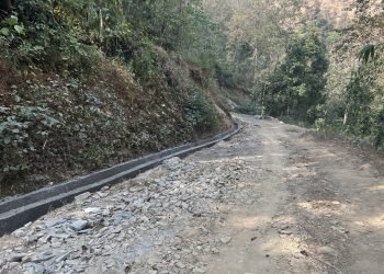 Bhakunde-Temal road sees 10 percent works in 20 months