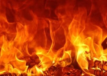 Fire guts property worth around Rs 5 million