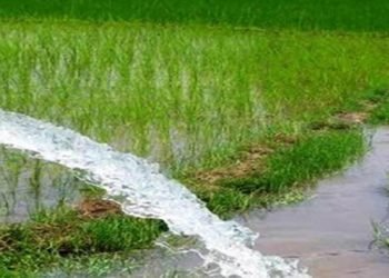 Prosperous Tarai irrigation special programme launched