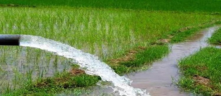 Prosperous Tarai irrigation special programme launched