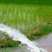 Prosperous Tarai irrigation special programme launched
