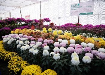 25th Flora Expo records transactions worth over Rs 10 million