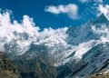 ‘Collective intelligence’ underlined to reduce climate emergencies