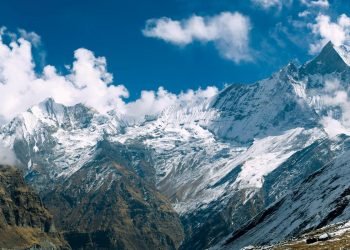 ‘Collective intelligence’ underlined to reduce climate emergencies