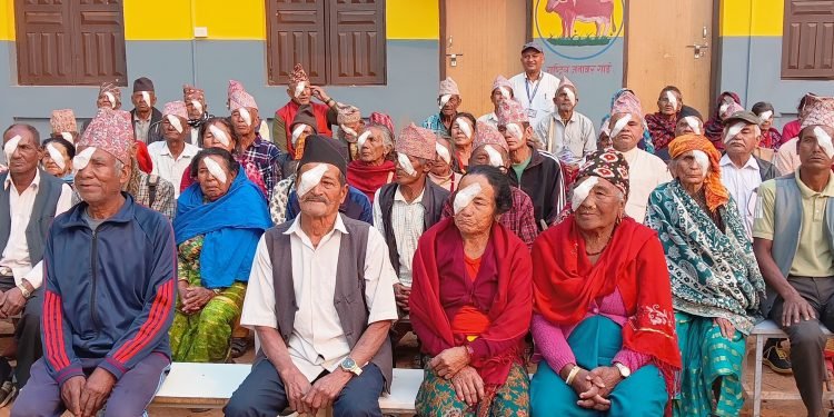 1000 people receives service from free eye camp