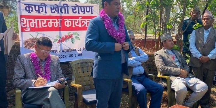 Minister Bhandari inaugurates coffee farming in Baitadi