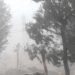 Storm destroys around 333 structures in Tanahun