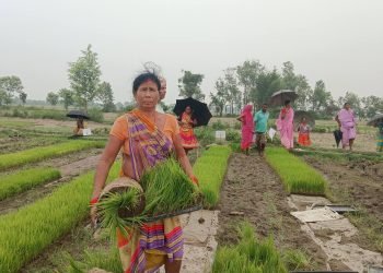 USAID support boosts Nepal’s farmers