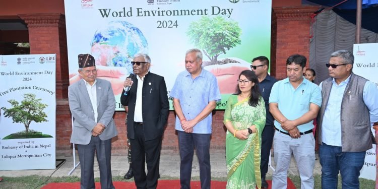 Embassy of India in Nepal plants tree on World Environment Day
