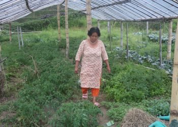 Single woman setting example on commercial organic farming