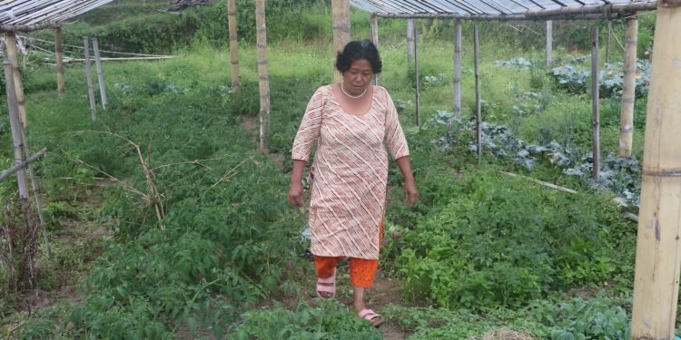 Single woman setting example on commercial organic farming
