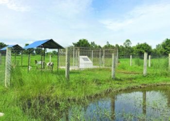 Chinese project displaces locals in Jhapa