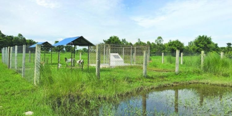 Chinese project displaces locals in Jhapa