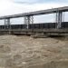 All sluice gates of Gandak Barrage opened