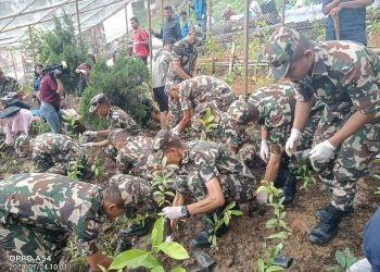 Saplings planted in world heritage site Swoyambhu