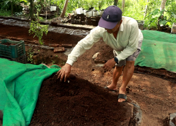 63-year-old earns thousands of rupees in month from vermiculture