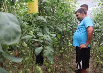 Migrant returnee GC making huge income from agriculture