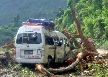 Nine passengers injured after falling tree hits moving micro bus