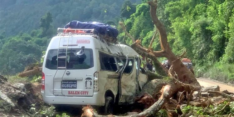 Nine passengers injured after falling tree hits moving micro bus