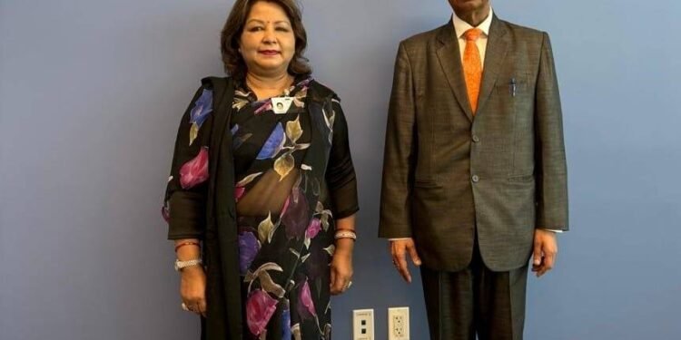 Foreign Minster Dr Rana holds meeting with UN Under-Secretary-General Khare