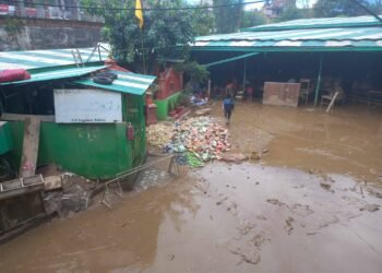 Fruits and vegetables supply eases in Kathmandu Valley