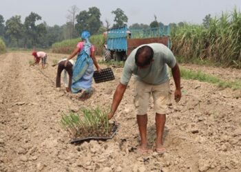 Farmers using technology to boost income