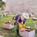Beekeeping fetches handsome income for returnee migrant in Dang