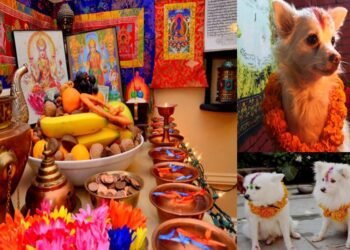 Laxmi Puja being observed today