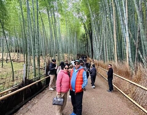 First national bamboo conference from Feb 27