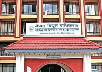 NEA’s profit exceeds Rs 9 billion in three months