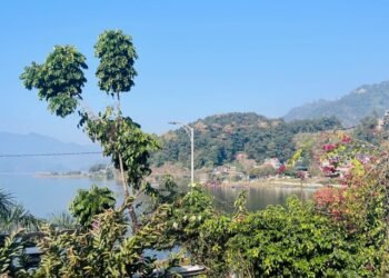 Area under forest increases by 0.75 percent