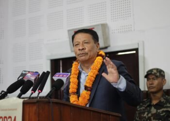 DPM Singh insists on nature-friendly development endeavours