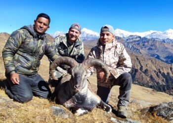 Hunters kill 10 Naurs and 5 Jharals at Dhorpatan Hunting Reserve in first season