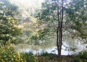 Picturesque Sundevi Lake in shadow due to lack of publicity