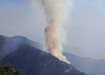 Fire in Mahabharat forest of Kavre still out of control