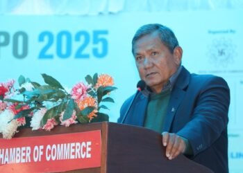 IT to forward economic development: Minister Gurung