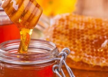 Honey production up in Lamjung