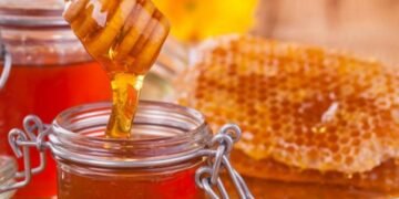 Honey production up in Lamjung