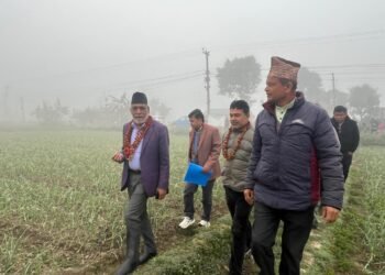 Agriculture Minister urges not to use excessive toxicants in agricultural crops