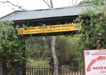 Free nature guide for tourists visiting Shuklaphanta