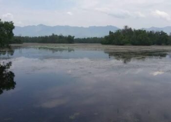 World Wetlands Day being observed today