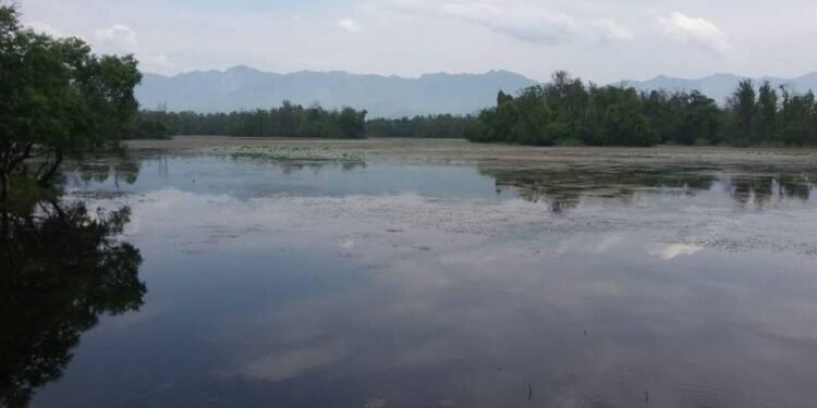 World Wetlands Day being observed today