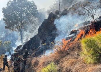 Palpa fire causes damages to four community forests