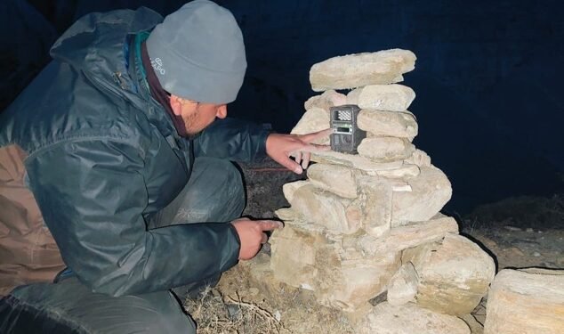 Monitoring of rare snow leopard begins in upper Mustang